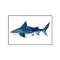 Picture of Shark Attack II  _GroupedProduct_Rectangle_Landscape_Mini_ _GroupedProduct_Rectangle_Landscape_Canvas_Framed_