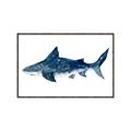 Picture of Shark Attack II  _GroupedProduct_Rectangle_Landscape_Mini_ _GroupedProduct_Rectangle_Landscape_Canvas_Framed_