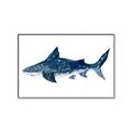 Picture of Shark Attack II  _GroupedProduct_Rectangle_Landscape_Mini_ _GroupedProduct_Rectangle_Landscape_Canvas_Framed_