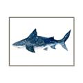 Picture of Shark Attack II  _GroupedProduct_Rectangle_Landscape_Mini_ _GroupedProduct_Rectangle_Landscape_Canvas_Framed_