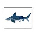 Picture of Shark Attack II  _GroupedProduct_Rectangle_Landscape_Mini_ _GroupedProduct_Rectangle_Landscape_Canvas_Framed_