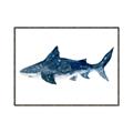 Picture of Shark Attack II  _GroupedProduct_Rectangle_Landscape_Mini_ _GroupedProduct_Rectangle_Landscape_Canvas_Framed_