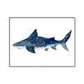 Picture of Shark Attack II  _GroupedProduct_Rectangle_Landscape_Mini_ _GroupedProduct_Rectangle_Landscape_Canvas_Framed_