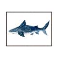 Picture of Shark Attack II  _GroupedProduct_Rectangle_Landscape_Mini_ _GroupedProduct_Rectangle_Landscape_Canvas_Framed_