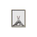 Picture of Bunny Bum  _GroupedProduct_Rectangle_Portrait_Mini_ _GroupedProduct_Rectangle_Portrait_Canvas_Framed_