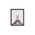 Picture of Bunny Bum  _GroupedProduct_Rectangle_Portrait_Mini_ _GroupedProduct_Rectangle_Portrait_Canvas_Framed_