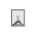 Picture of Bunny Bum  _GroupedProduct_Rectangle_Portrait_Mini_ _GroupedProduct_Rectangle_Portrait_Canvas_Framed_