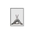 Picture of Bunny Bum  _GroupedProduct_Rectangle_Portrait_Mini_ _GroupedProduct_Rectangle_Portrait_Canvas_Framed_