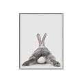 Picture of Bunny Bum  _GroupedProduct_Rectangle_Portrait_Mini_ _GroupedProduct_Rectangle_Portrait_Canvas_Framed_