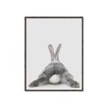 Picture of Bunny Bum  _GroupedProduct_Rectangle_Portrait_Mini_ _GroupedProduct_Rectangle_Portrait_Canvas_Framed_