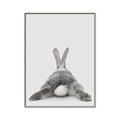 Picture of Bunny Bum  _GroupedProduct_Rectangle_Portrait_Mini_ _GroupedProduct_Rectangle_Portrait_Canvas_Framed_