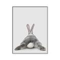 Picture of Bunny Bum  _GroupedProduct_Rectangle_Portrait_Mini_ _GroupedProduct_Rectangle_Portrait_Canvas_Framed_