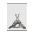 Picture of Bunny Bum  _GroupedProduct_Rectangle_Portrait_Mini_ _GroupedProduct_Rectangle_Portrait_Canvas_Framed_