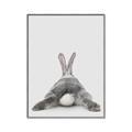 Picture of Bunny Bum  _GroupedProduct_Rectangle_Portrait_Mini_ _GroupedProduct_Rectangle_Portrait_Canvas_Framed_
