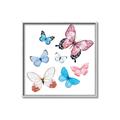 Picture of Fly Along _GroupedProduct_Square_Mini_ _GroupedProduct_Square_Canvas_Framed_