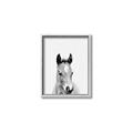 Picture of Cute Little Foal  _GroupedProduct_Rectangle_Portrait_Mini_ _GroupedProduct_Rectangle_Portrait_Canvas_Framed_