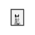 Picture of Cute Little Foal  _GroupedProduct_Rectangle_Portrait_Mini_ _GroupedProduct_Rectangle_Portrait_Canvas_Framed_