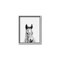 Picture of Cute Little Foal  _GroupedProduct_Rectangle_Portrait_Mini_ _GroupedProduct_Rectangle_Portrait_Canvas_Framed_