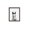 Picture of Cute Little Foal  _GroupedProduct_Rectangle_Portrait_Mini_ _GroupedProduct_Rectangle_Portrait_Canvas_Framed_