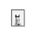 Picture of Cute Little Foal  _GroupedProduct_Rectangle_Portrait_Mini_ _GroupedProduct_Rectangle_Portrait_Canvas_Framed_
