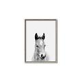 Picture of Cute Little Foal  _GroupedProduct_Rectangle_Portrait_Mini_ _GroupedProduct_Rectangle_Portrait_Canvas_Framed_
