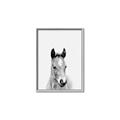 Picture of Cute Little Foal  _GroupedProduct_Rectangle_Portrait_Mini_ _GroupedProduct_Rectangle_Portrait_Canvas_Framed_