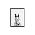 Picture of Cute Little Foal  _GroupedProduct_Rectangle_Portrait_Mini_ _GroupedProduct_Rectangle_Portrait_Canvas_Framed_