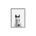 Picture of Cute Little Foal  _GroupedProduct_Rectangle_Portrait_Mini_ _GroupedProduct_Rectangle_Portrait_Canvas_Framed_