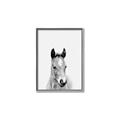 Picture of Cute Little Foal  _GroupedProduct_Rectangle_Portrait_Mini_ _GroupedProduct_Rectangle_Portrait_Canvas_Framed_