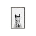 Picture of Cute Little Foal  _GroupedProduct_Rectangle_Portrait_Mini_ _GroupedProduct_Rectangle_Portrait_Canvas_Framed_