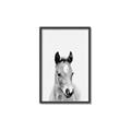 Picture of Cute Little Foal  _GroupedProduct_Rectangle_Portrait_Mini_ _GroupedProduct_Rectangle_Portrait_Canvas_Framed_