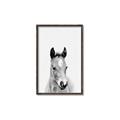 Picture of Cute Little Foal  _GroupedProduct_Rectangle_Portrait_Mini_ _GroupedProduct_Rectangle_Portrait_Canvas_Framed_