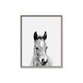 Picture of Cute Little Foal  _GroupedProduct_Rectangle_Portrait_Mini_ _GroupedProduct_Rectangle_Portrait_Canvas_Framed_
