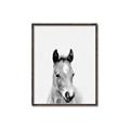 Picture of Cute Little Foal  _GroupedProduct_Rectangle_Portrait_Mini_ _GroupedProduct_Rectangle_Portrait_Canvas_Framed_