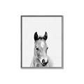 Picture of Cute Little Foal  _GroupedProduct_Rectangle_Portrait_Mini_ _GroupedProduct_Rectangle_Portrait_Canvas_Framed_