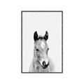 Picture of Cute Little Foal  _GroupedProduct_Rectangle_Portrait_Mini_ _GroupedProduct_Rectangle_Portrait_Canvas_Framed_