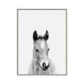 Picture of Cute Little Foal  _GroupedProduct_Rectangle_Portrait_Mini_ _GroupedProduct_Rectangle_Portrait_Canvas_Framed_