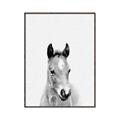 Picture of Cute Little Foal  _GroupedProduct_Rectangle_Portrait_Mini_ _GroupedProduct_Rectangle_Portrait_Canvas_Framed_