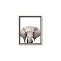 Picture of Safari Elephant _GroupedProduct_Rectangle_Portrait_Mini_ _GroupedProduct_Rectangle_Portrait_Canvas_Framed_