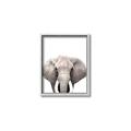 Picture of Safari Elephant _GroupedProduct_Rectangle_Portrait_Mini_ _GroupedProduct_Rectangle_Portrait_Canvas_Framed_
