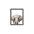 Picture of Safari Elephant _GroupedProduct_Rectangle_Portrait_Mini_ _GroupedProduct_Rectangle_Portrait_Canvas_Framed_