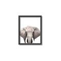 Picture of Safari Elephant _GroupedProduct_Rectangle_Portrait_Mini_ _GroupedProduct_Rectangle_Portrait_Canvas_Framed_