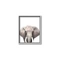 Picture of Safari Elephant _GroupedProduct_Rectangle_Portrait_Mini_ _GroupedProduct_Rectangle_Portrait_Canvas_Framed_
