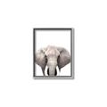 Picture of Safari Elephant _GroupedProduct_Rectangle_Portrait_Mini_ _GroupedProduct_Rectangle_Portrait_Canvas_Framed_