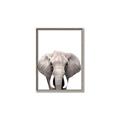Picture of Safari Elephant _GroupedProduct_Rectangle_Portrait_Mini_ _GroupedProduct_Rectangle_Portrait_Canvas_Framed_