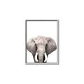 Picture of Safari Elephant _GroupedProduct_Rectangle_Portrait_Mini_ _GroupedProduct_Rectangle_Portrait_Canvas_Framed_