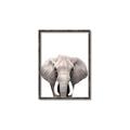 Picture of Safari Elephant _GroupedProduct_Rectangle_Portrait_Mini_ _GroupedProduct_Rectangle_Portrait_Canvas_Framed_