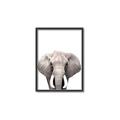 Picture of Safari Elephant _GroupedProduct_Rectangle_Portrait_Mini_ _GroupedProduct_Rectangle_Portrait_Canvas_Framed_