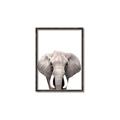 Picture of Safari Elephant _GroupedProduct_Rectangle_Portrait_Mini_ _GroupedProduct_Rectangle_Portrait_Canvas_Framed_