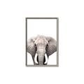 Picture of Safari Elephant _GroupedProduct_Rectangle_Portrait_Mini_ _GroupedProduct_Rectangle_Portrait_Canvas_Framed_